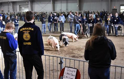 Nearly 500 Students Attend District Livestock Judging Contest At