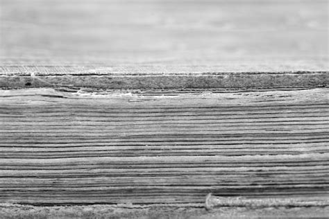 premium photo gray pages    book