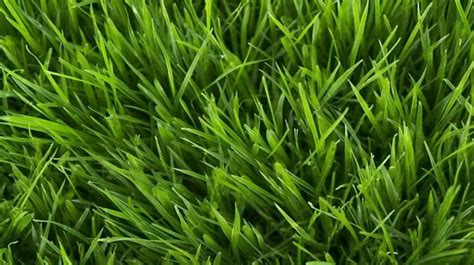 Vibrant Green Grass Texture A Naturally Beautiful Background Green