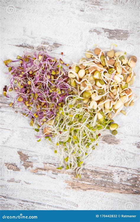 Different Types Of Healthy Sprouts In Shape Of Heart Containing