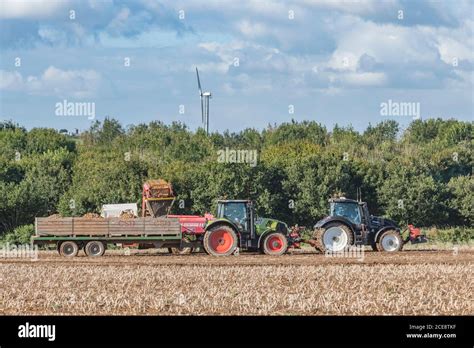 Uk Potato Harvesting With Grimme Potato Harvester Pulled By Valtra