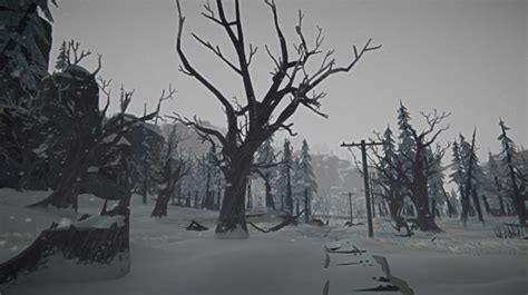 The Long Dark Drops New Expansion Pass Indie Game Fans