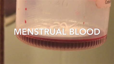 Collecting Menstrual Blood Tips Facts And Myths Youtube