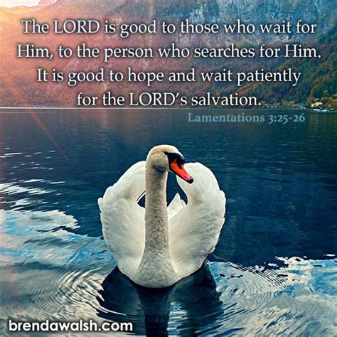 Hope And Wait Brenda Walsh Scripture Images