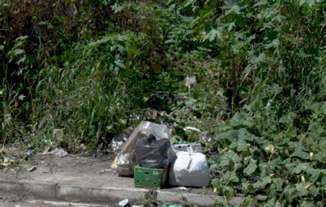 Caminhos Do Lixo Portal GCMAIS