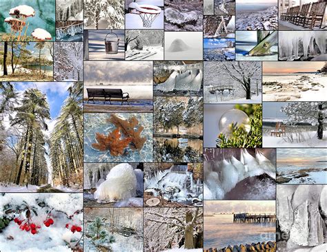 Winter Collage Photograph by Janice Drew - Fine Art America