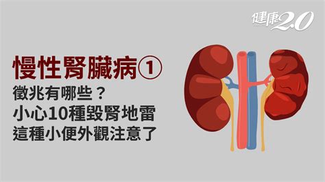 慢性腎臟病／腎臟不好會有症狀嗎？危險因子有哪些？患者當心合併1疾病死亡風險高泡沫尿水腫高血壓