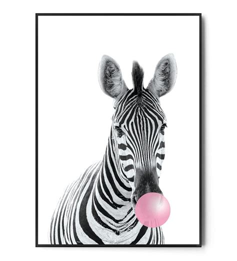 Fox Art Studio Plakat Zebra Bubble Gum Wymiary X Cm Fox Art