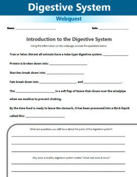 Digestive System Webquest Human Body Systems Anatomy Health Activity