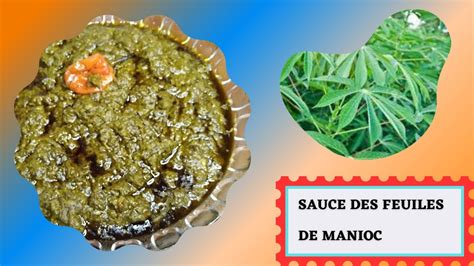 Comment Pr Parer Les Feuilles De Manioc Recette Pour Les D Butants