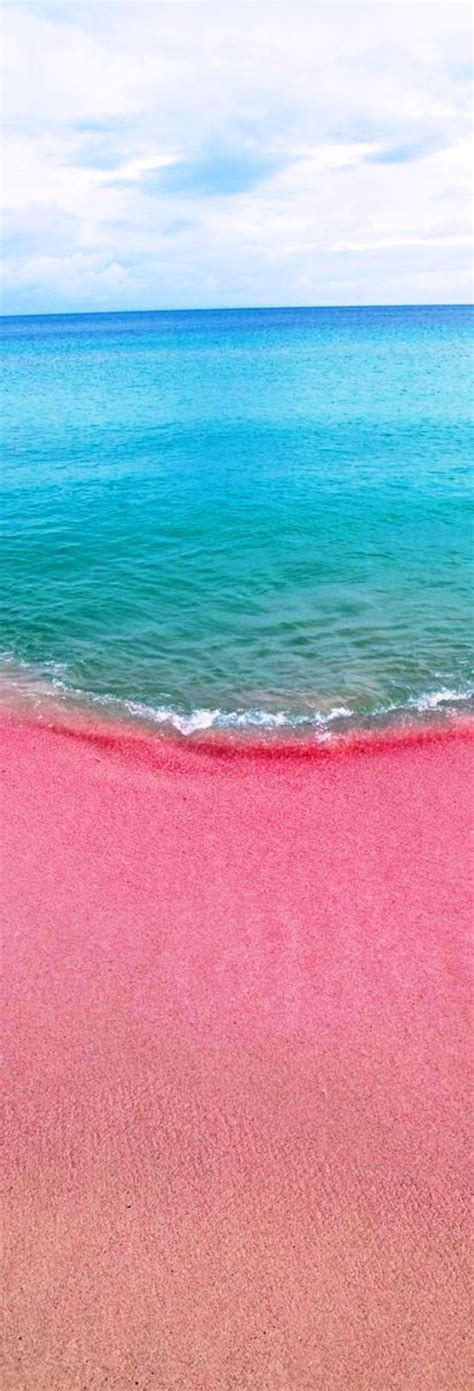 Pink Sands Beach, Bahamas Pictures, Photos, and Images for Facebook ...