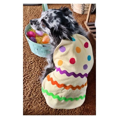 Dog Easter Egg Costume/pet Easter Egg Costume/dog Easter - Etsy