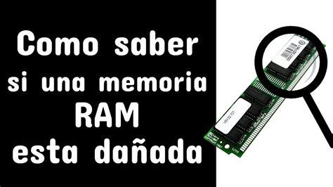 Como Saber La Velocidad De Mi Memoria Ram Ddr Astri Hot Sex Picture