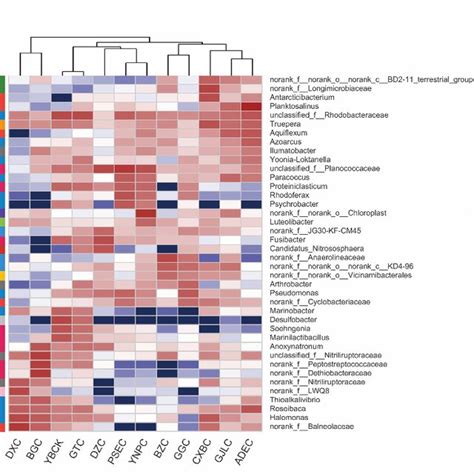 The Heatmap Shows The Relative Abundance Of The Top 40 Abundant Genera Download Scientific