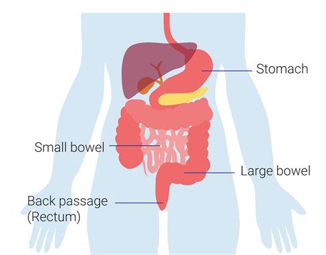 Colorectal Cancer Be Cancer Alert