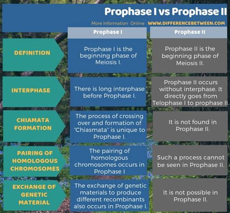 Difference Between Prophase I and Prophase II | Compare the Difference ...