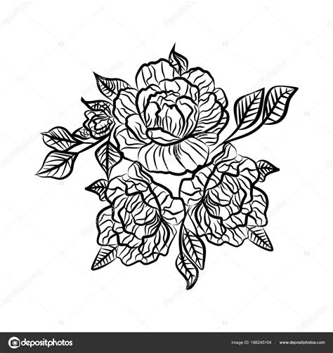 Dictures In Black And White Black And White Drawing Of A Rose