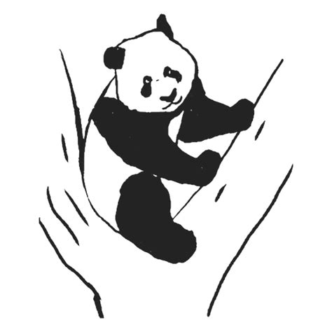 Diseño Png Y Svg De Oso Panda En árbol Para Camisetas