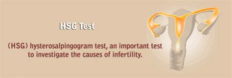 Hsg Test In Chennai Hsg Hysterosalpingogram Test In Chennai Madras