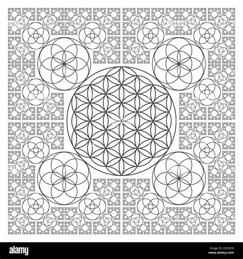 circle outline flower of life fractal geometry Stock Photo - Alamy