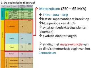 De Geologische Tijdschaal Ppt