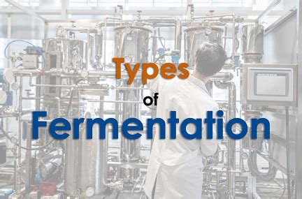 Types of fermentation