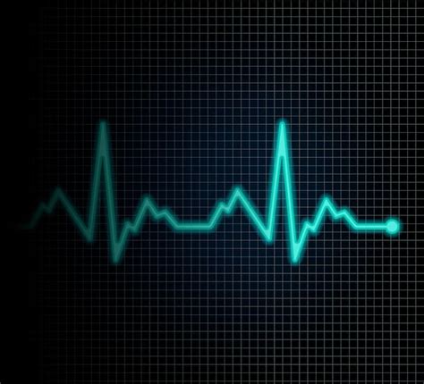 Premium Vector Heart Cardiogram Line Isolated On Background Vector