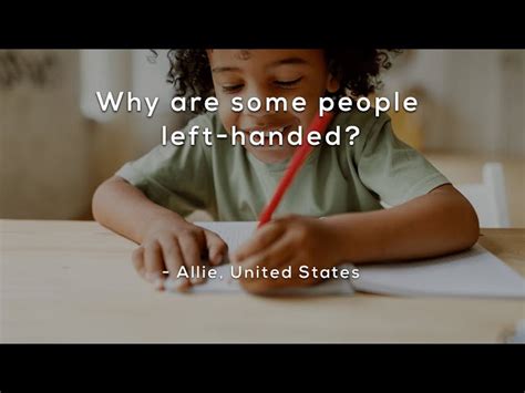 Why Are Some People Left Handed Schooltube