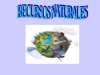 Recursos Naturales PPT