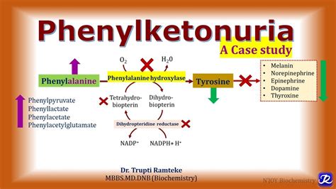 8 Phenylketonuria Amino Acid Metabolism Biochemistry Njoy