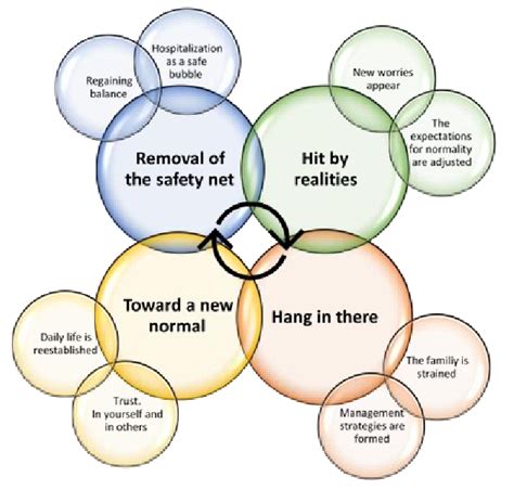 Overview Of Themes And Subthemes Identified In The Interviews