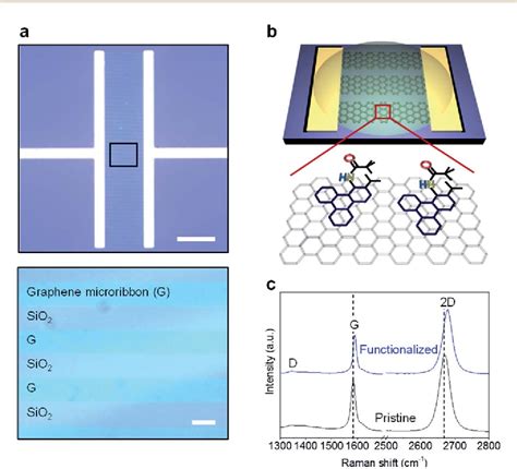 Figure From Graphene Chemiresistors Modified With Functionalized