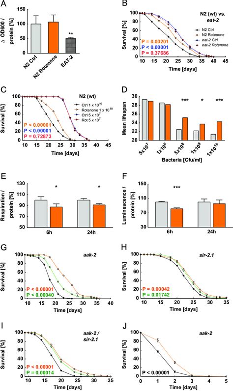 Inhibition Of Mitochondrial Complex I Extends Lifespan In A Dietary Download Scientific Diagram