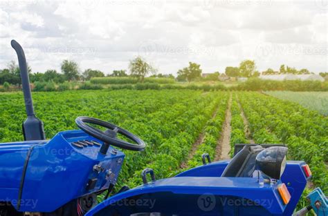 Tractor Azul En El Fondo Del Campo Verde De La Plantación De Pimienta