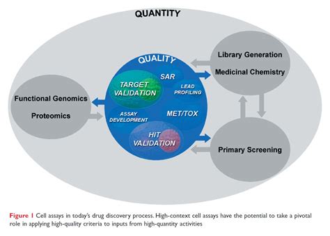 Cell Based Assays Seeing The Light Drug Discovery World Ddw