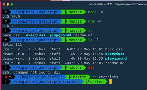 Browser Editor And Terminal Setup Beginner Javascript Wes Bos