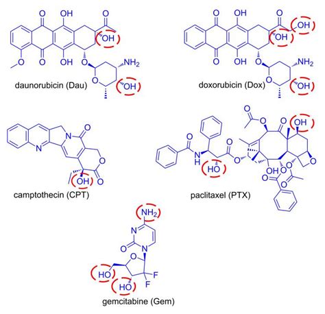 Anti Cancer Peptide Drug Conjugates Pdcs An Overview Biopharma Peg