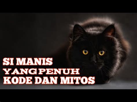 Kucing Dan Kode Rahasia Legenda Dan Mitos Di Balik Bulu Youtube