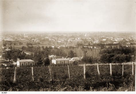 Mount Gambier Photograph State Library Of South Australia