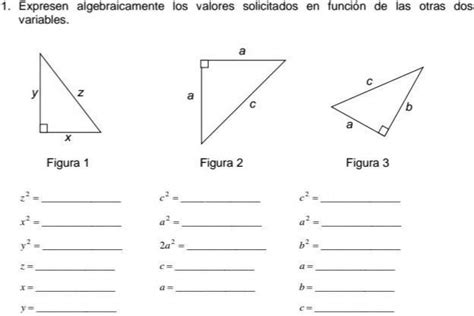 Alguien Me Explica O Me Lo Resuelve Porfavor Brainly Lat