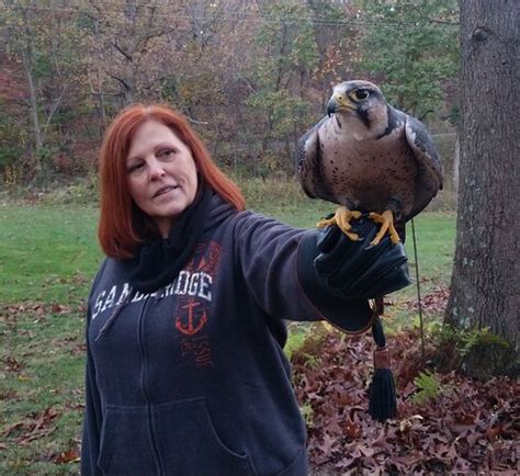 Raptor Hill Falconry Stanley Aktuelle 2021 Lohnt Es Sich Mit Fotos