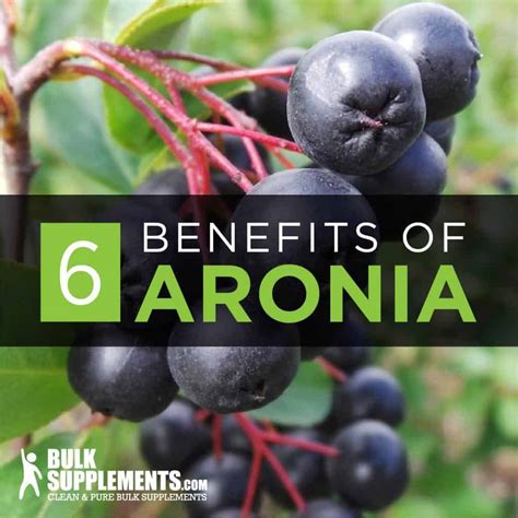 The Amazing Super Fruit Aronia Berry 6 Health Benefits