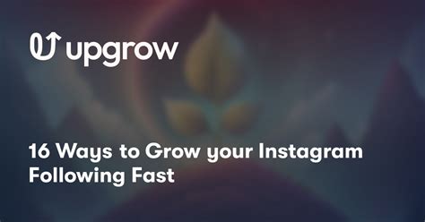 16 Ways To Grow Your Instagram Following Fast Upgrow Best Instagram