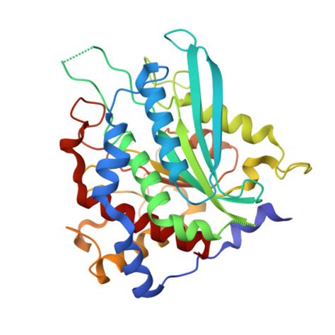 Rcsb Pdb 7d8e Crystal Structure Of Double Mutant Y115e Y117e Human