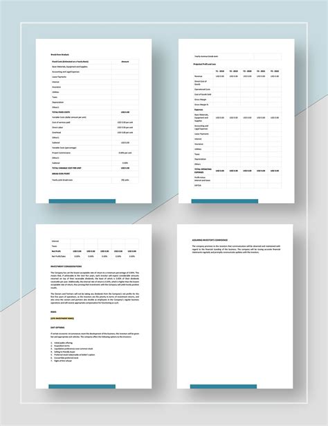 Investor Plan Template