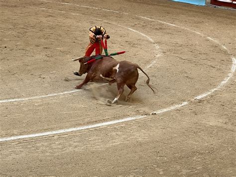 Jose Ramon Lopez On Twitter Rt Elenay Tarde Estupenda De Toros En