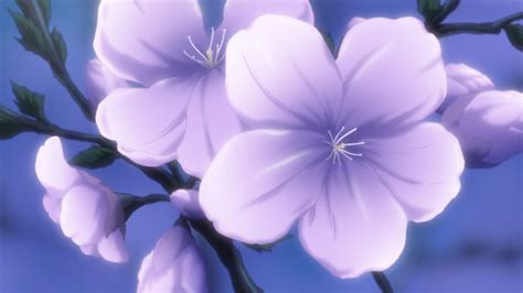 Aggregate Purple Anime Flowers Best In Coedo Vn