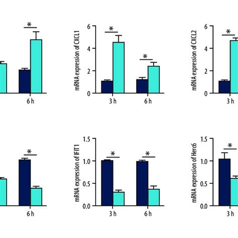 Validation Of The Mrna Expression Levels Of Hub Genes In The Mice Model