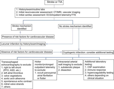 Cryptogenic Stroke A Diagnostic Challenge Abstract Europe PMC