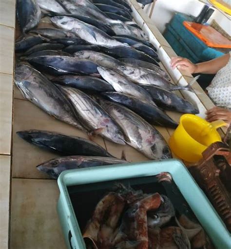 Pantai Sendang Biru Pantai Indah Favorit Para Pemancing